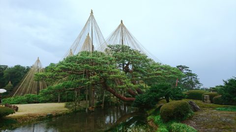 今年の残り１ヶ月