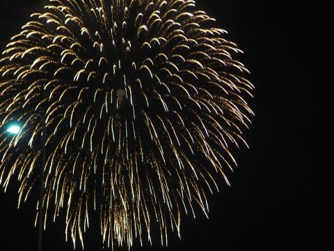 筑後川花火大会🎇