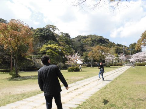 🌸お花見🌸（えのき天拝）