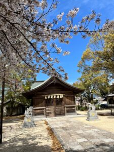 新年度のスタートです