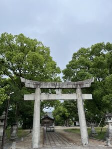 梅雨空と榎寺