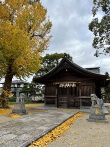 今年も最後の月になりました。12月！