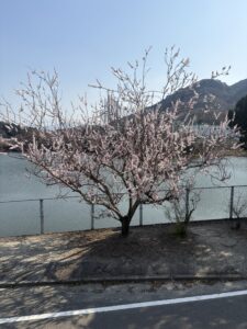 春の陽気
