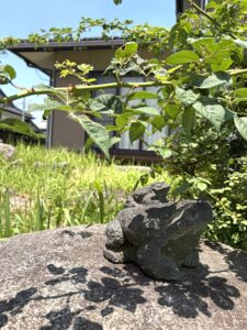梅雨入りの足音…♪