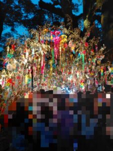 七夕祭🎋
