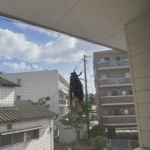 ８月について